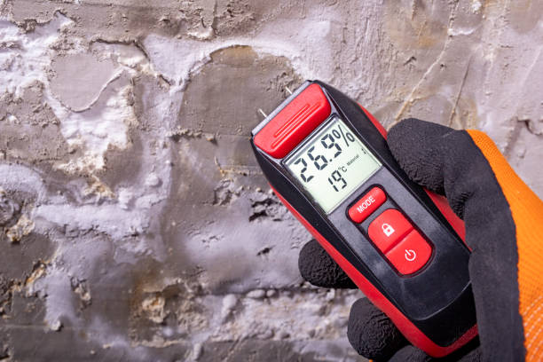 Best Bathroom Mold Remediation in Redland, AL